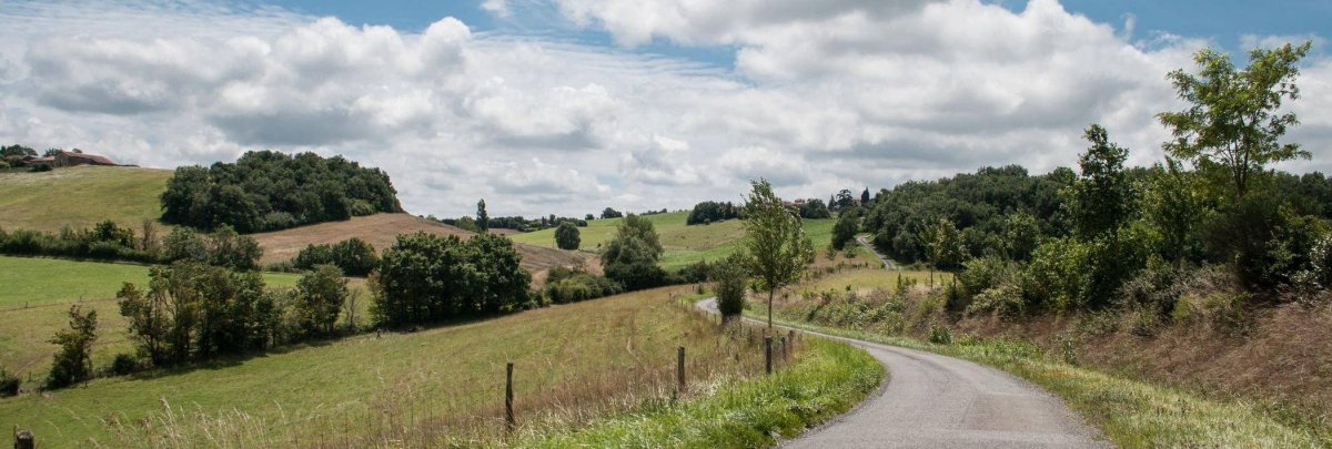 vanilla-countryside-fields-road