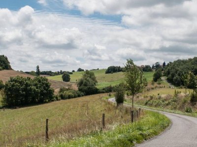 vanilla-countryside-fields-road