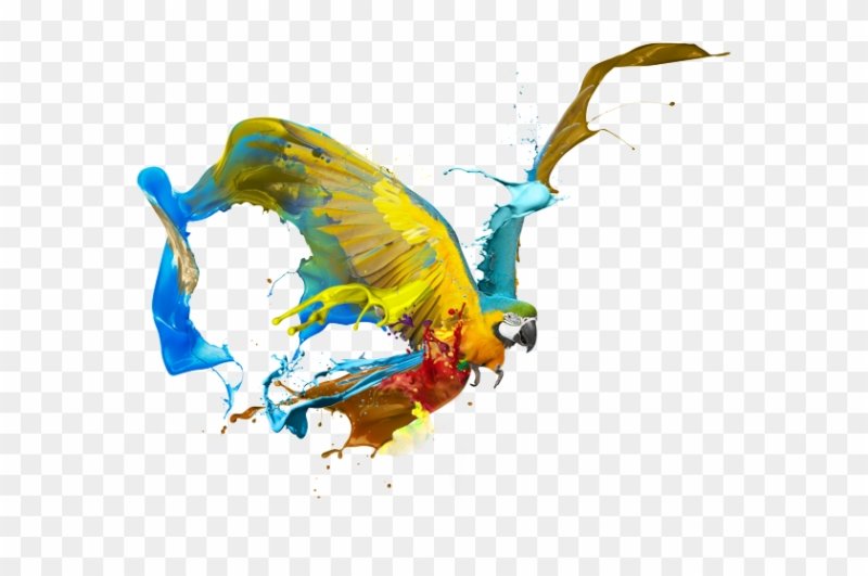 54-540638_graphic-design-art-png-creative-logo-png-design